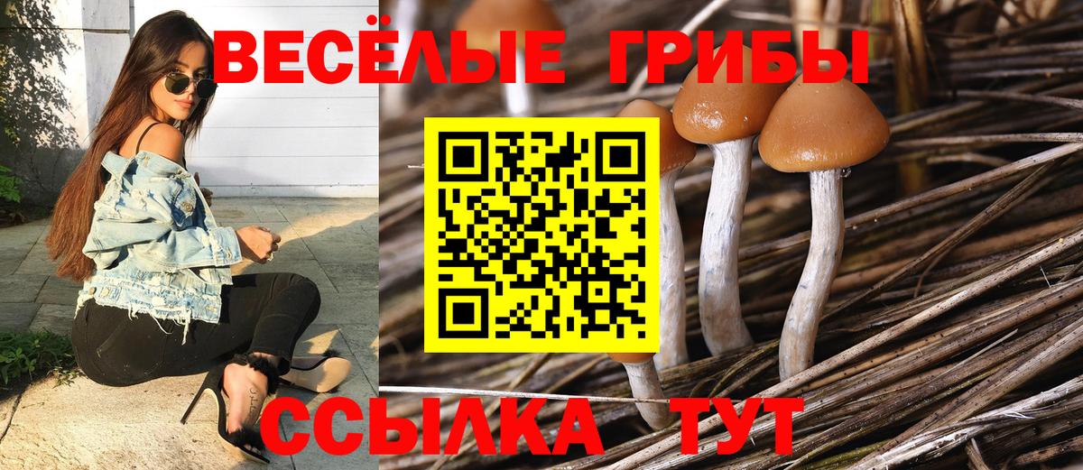 Псилоцибиновые грибы ЛСД Красноярск