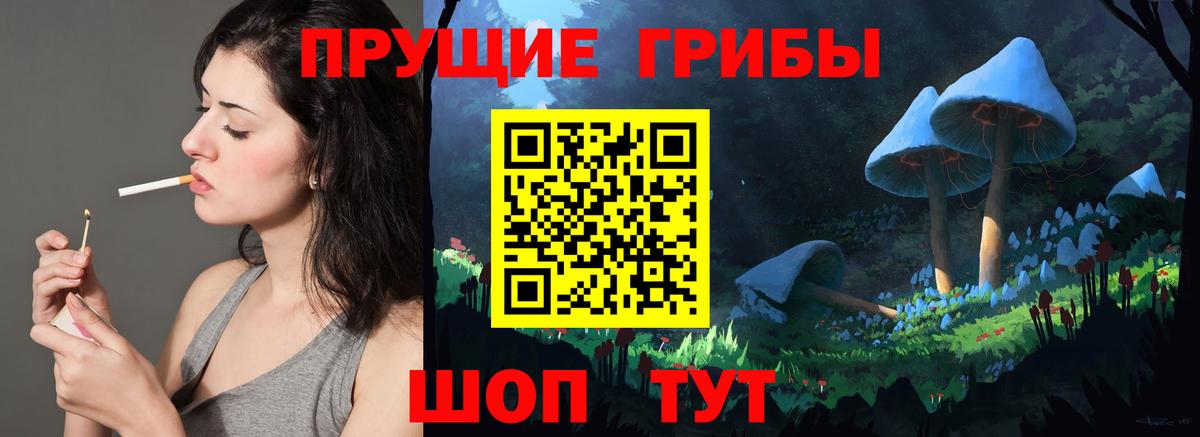 где продают   Вход с VPN  Красноярск  Псилоцибиновые грибы MAGIC MUSHROOMS 